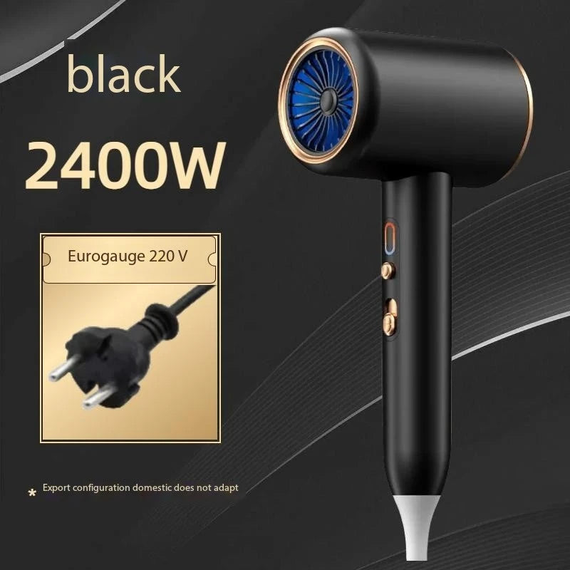 F33 T821 Professional Hair Dryer Hot Cold Wind Air Brush Hairdryer Negative Lonic Blow Dryer Strong PowerDryer Salon Tool 2400W